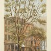 The varian tree in Broadway, betw. 26th & 27th Sts. 1864