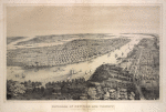 Panorama of New York and vicinity