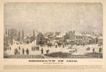 Brooklyn in 1816. The principal street in the foreground in Front. . . [5 more lines of description]