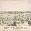 View of Brooklyn, L.I. From U.S. Hotel, New York