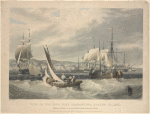 View of the New York Quarantine, Staten Island