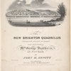 View of New Brighton, S. I.