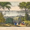 The Narrows, New York Bay. From Staten Island
