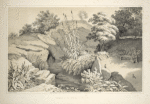 Source of the spring in the Rample [sic] From Central Park Album, 1862