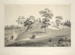 View of the arbor on the eastside near 5th Avenue. From Central Park album, 1862