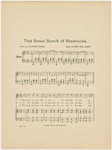That sweet bunch of Shamrocks