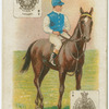 Jockey: J. Clark, Col: Mr. Herbert Rhodes.