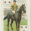 Jockey: J. Reiff, Col.: Mr. G. Bower Ismay.