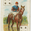 Jockey: G. Stern, Col: Mr. W.J. Raphael.