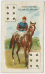 Jockey: G. Stern, Col: Mr. W.J. Raphael.