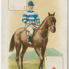 Jockey: W. Dollery, col: Ivor E. Hughes.