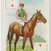Jockey: Mr. H. J. Ussher, colours: Mr. B.W. Parr.