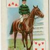 Jockey: F. Scourse, colours: Mr. W.R. Wyndham.