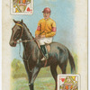 Jockey: H,. Jelliss, colours: Mr. F. Benson.