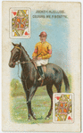 Jockey: H,. Jelliss, colours: Mr. F. Benson.