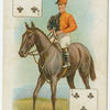 Jockey: F. Fox, colours: Mr. A. Stedall.
