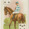 Jockey: E. Piper, col: Mr. George Edwards.