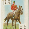 Jockey: S.B. Walkington, colours: Mr. W. Lotinga.