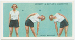 Exercises for women: trunk bending.