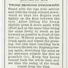 Exercises for men: trunk bending downward.