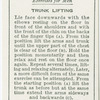 Exercises for men: trunk lifting.