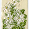 Nicotiana (Contentment).