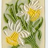 Daffodil (Regard, Chivalry).