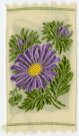 Aster (Afterthought).