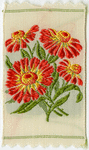 Helenium (Tears).