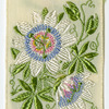 Passion flower (Faith).