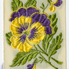 Pansy ( Thoughts; think of me).