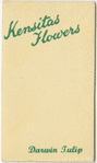 Darwin tulip (Hopeless love)