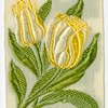 Darwin tulip (Hopeless love)
