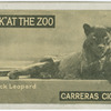 Black Leopard.