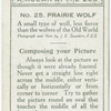 Prairie Wolf.
