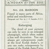 Baboon.