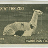 Llamas.