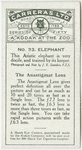 Elephant.