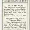 Sea Lion