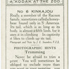 Kinkajou.