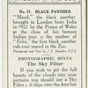 Black Panther.