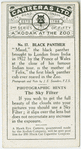 Black Panther.