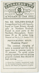 Golden Eagle.
