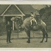Camel.