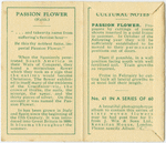 Passion flower (Faith).