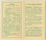 Pansy ( Thoughts; think of me).