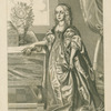 The trve portraictvre of the high borne Princesse, Mary, Princesse of Orange etc. married at White-Hall, London 23 May, 1641, borne y 4, [h?]ou 1631