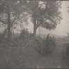 Burling's lots, Centreport, L.I.