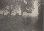 Burling's lots, Centreport, L.I.