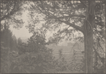 Burling's lots, Centreport, L.I.
